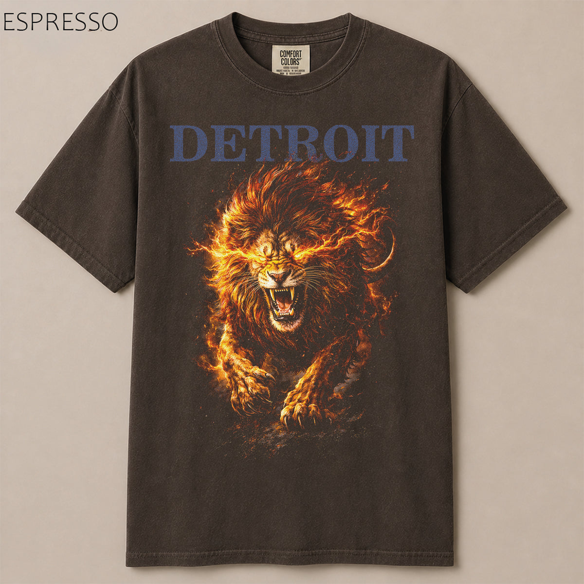 Detroit Football Gameday Graphic Tee