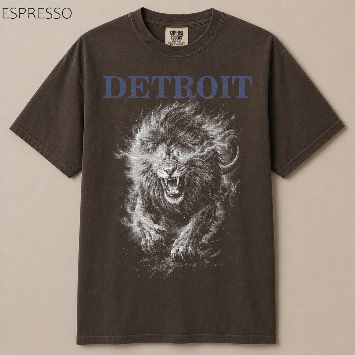 Detroit Football Gameday Graphic Tee