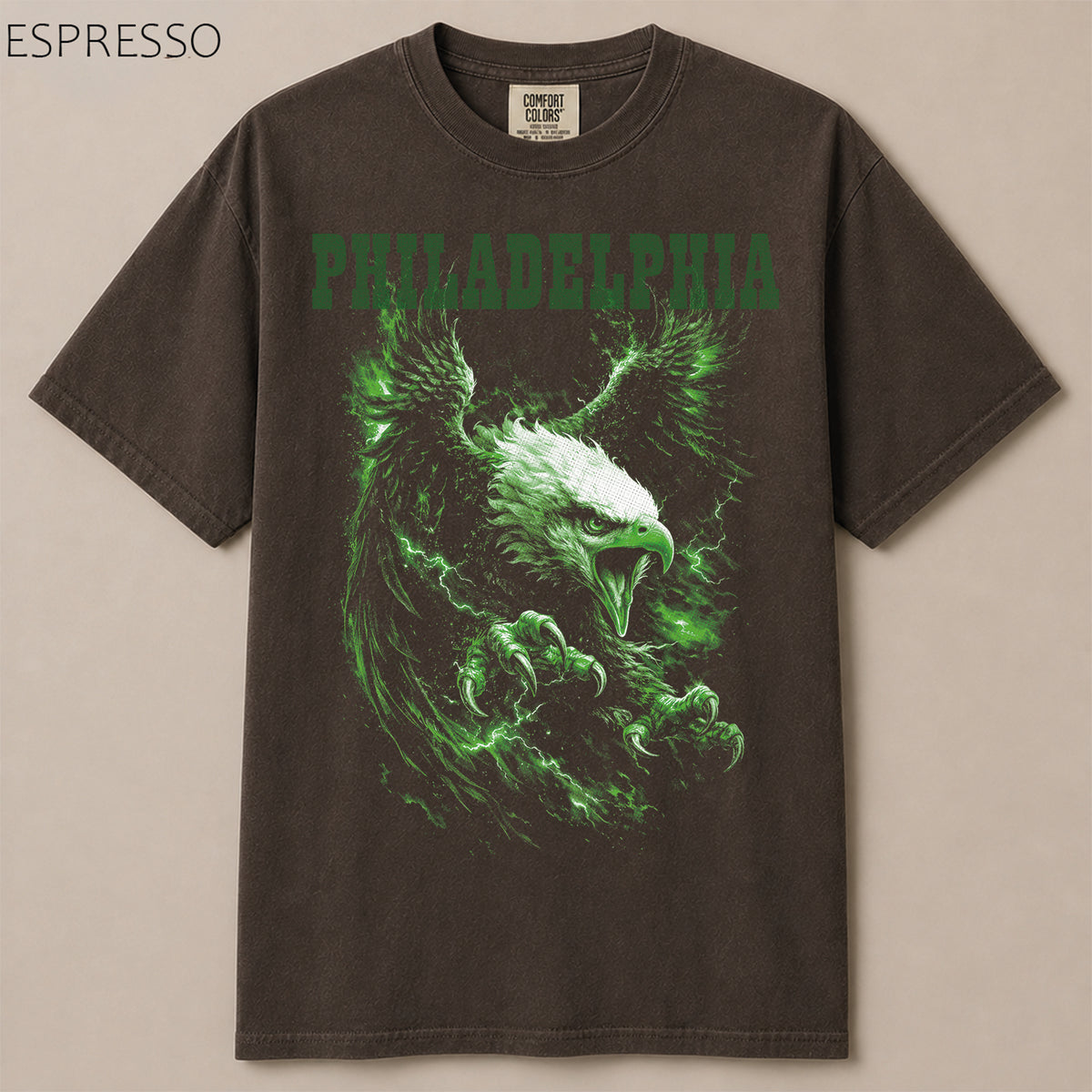 Philadelphia Football Gameday Graphic Tee