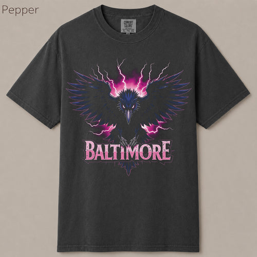 Baltimore Football Gameday Graphic Tee
