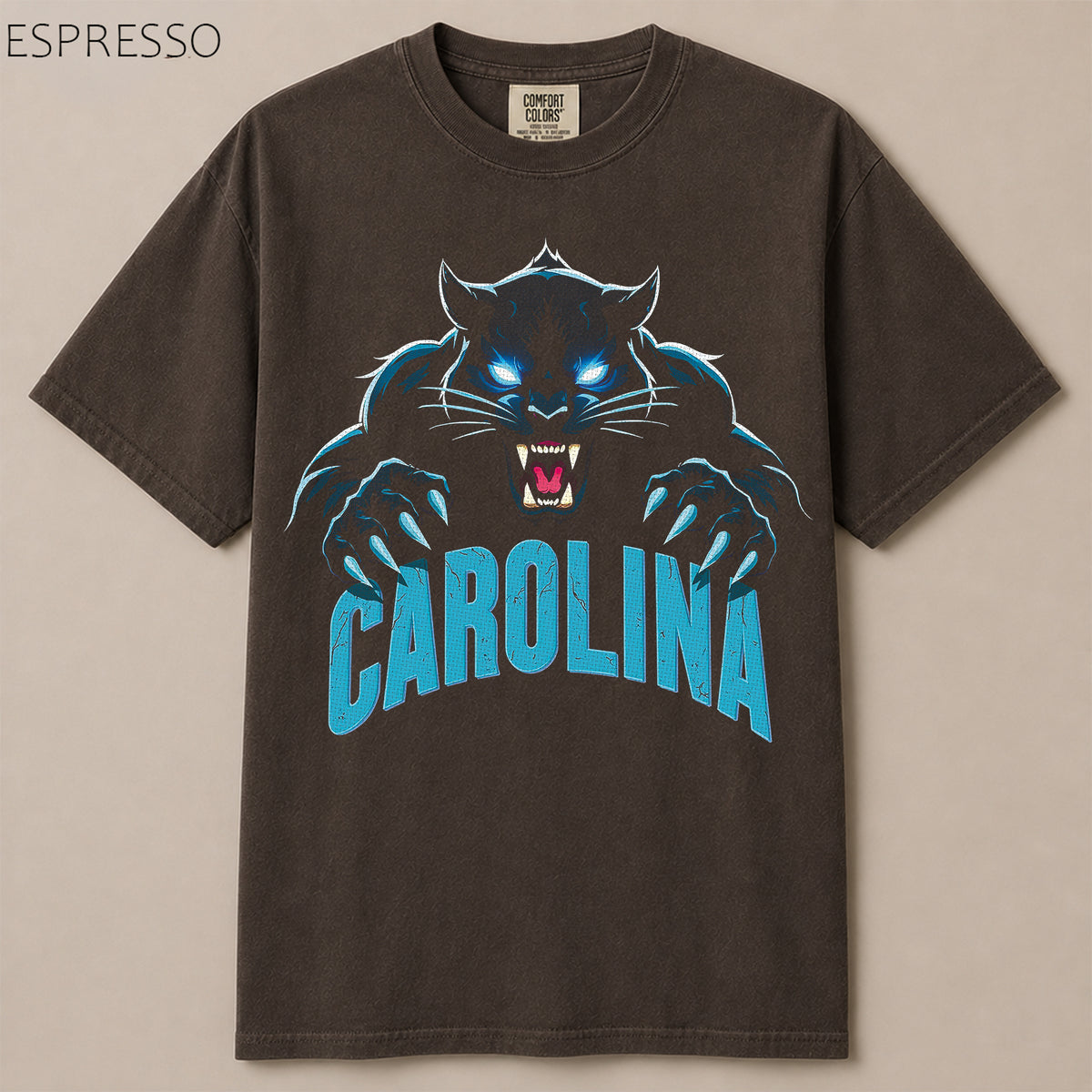 Carolina Football Gameday Graphic Tee