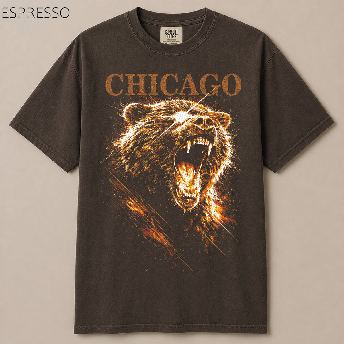 Chicago Football Gameday Graphic Tee