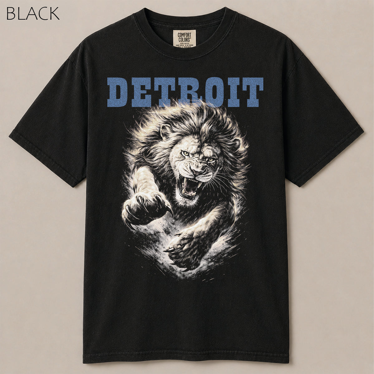 Detroit Football Gameday Graphic Tee