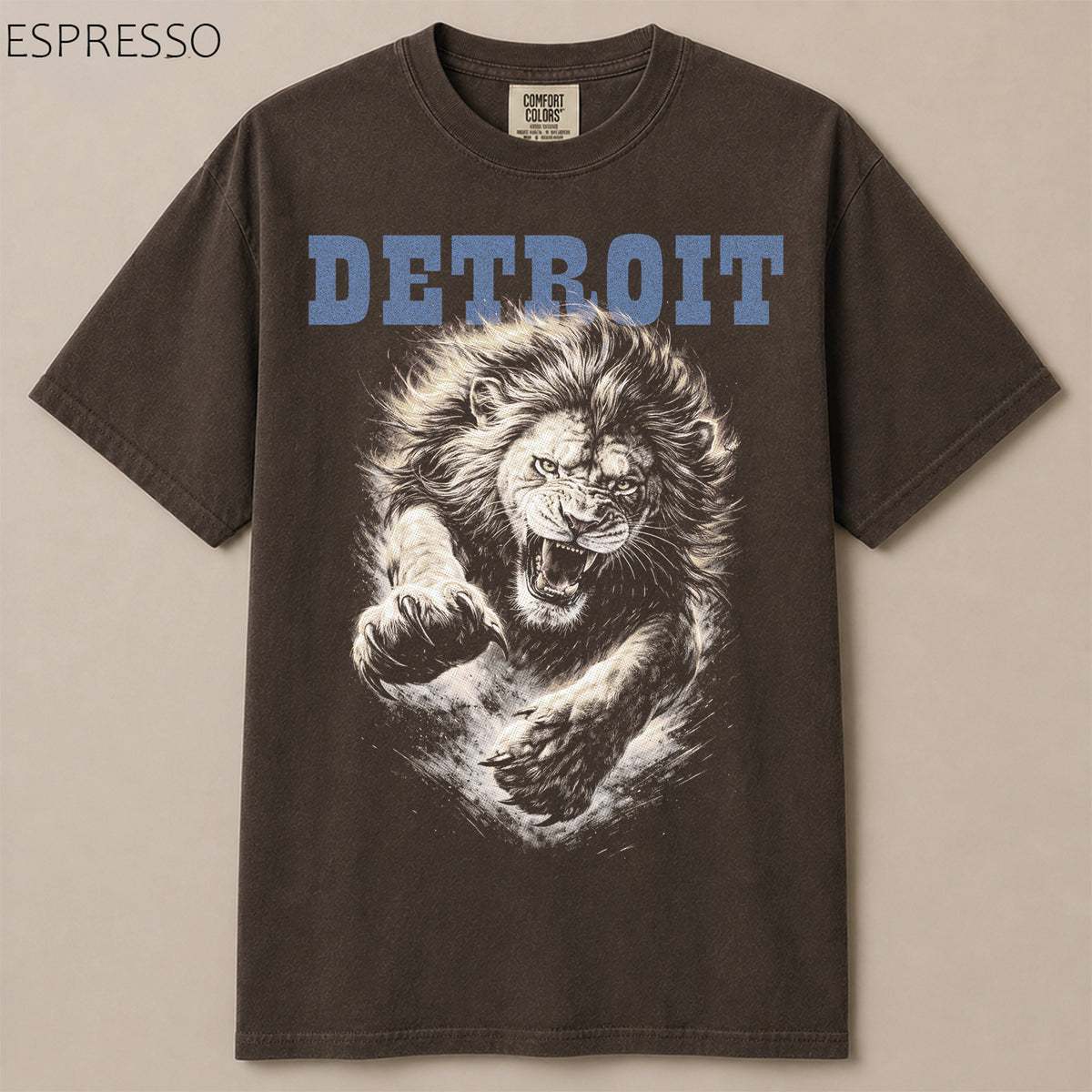 Detroit Football Gameday Graphic Tee